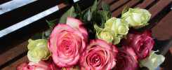 Kwiaty sprzedaż hurtowa: oaza świeżości dla biznesu i przyjemności